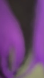 Load and play video in Gallery viewer, LR SWEAT SHIRTS
